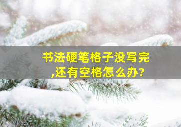 书法硬笔格子没写完,还有空格怎么办?