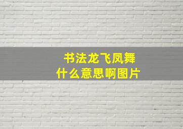 书法龙飞凤舞什么意思啊图片