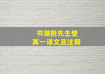 书湖阴先生壁其一译文及注释