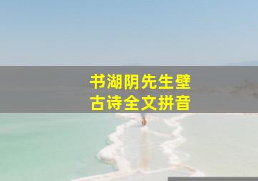 书湖阴先生壁古诗全文拼音