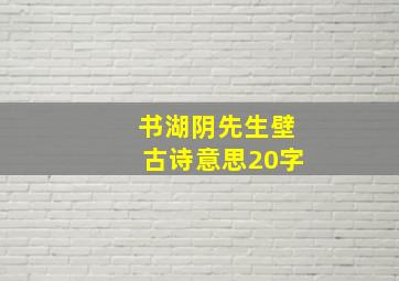 书湖阴先生壁古诗意思20字