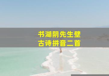 书湖阴先生壁古诗拼音二首