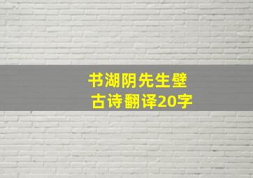 书湖阴先生壁古诗翻译20字