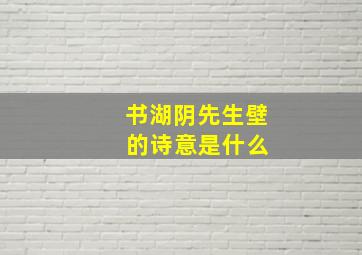 书湖阴先生壁 的诗意是什么