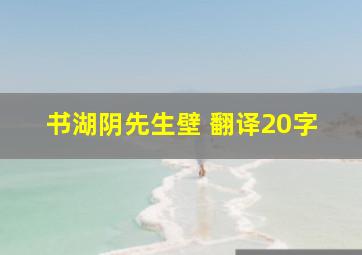 书湖阴先生壁 翻译20字