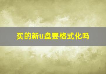 买的新u盘要格式化吗