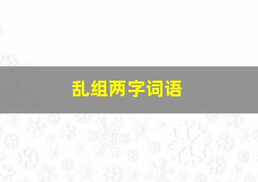 乱组两字词语