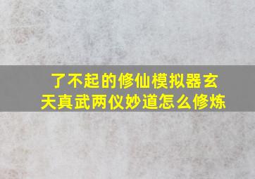 了不起的修仙模拟器玄天真武两仪妙道怎么修炼