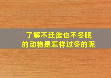 了解不迁徙也不冬眠的动物是怎样过冬的呢