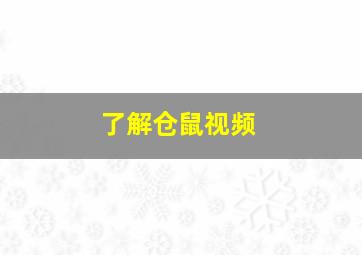 了解仓鼠视频