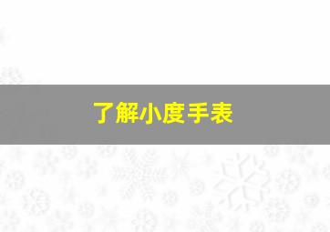 了解小度手表