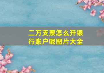 二万支票怎么开银行账户呢图片大全