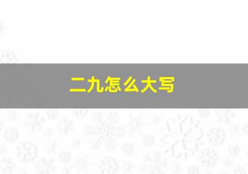 二九怎么大写