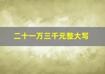 二十一万三千元整大写