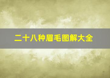 二十八种眉毛图解大全