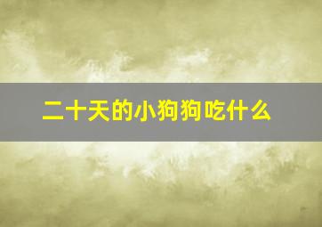 二十天的小狗狗吃什么