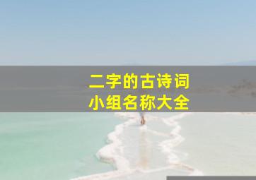 二字的古诗词小组名称大全