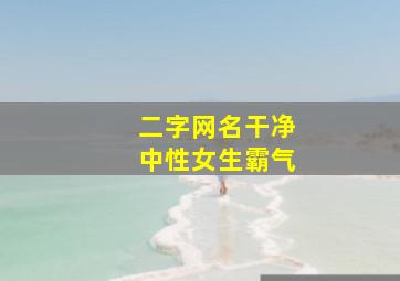 二字网名干净中性女生霸气