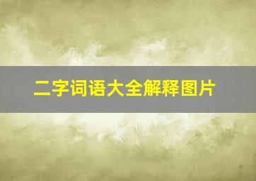 二字词语大全解释图片