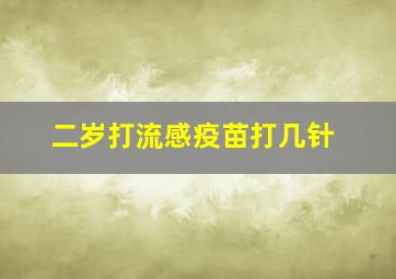 二岁打流感疫苗打几针