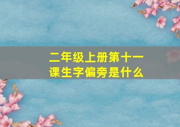 二年级上册第十一课生字偏旁是什么