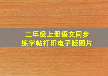 二年级上册语文同步练字帖打印电子版图片