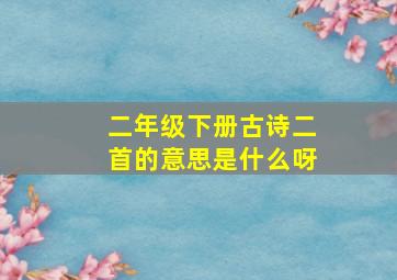 二年级下册古诗二首的意思是什么呀