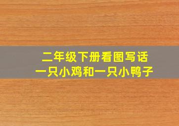 二年级下册看图写话一只小鸡和一只小鸭子