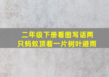 二年级下册看图写话两只蚂蚁顶着一片树叶避雨