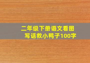 二年级下册语文看图写话救小鸭子100字