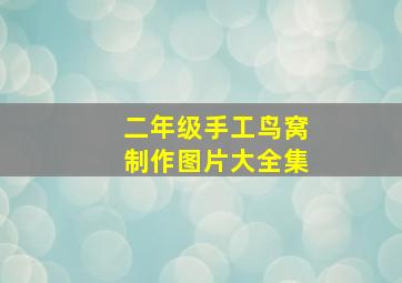 二年级手工鸟窝制作图片大全集