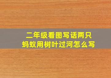 二年级看图写话两只蚂蚁用树叶过河怎么写