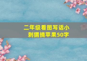 二年级看图写话小刺猬摘苹果50字