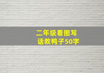 二年级看图写话救鸭子50字