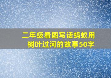 二年级看图写话蚂蚁用树叶过河的故事50字