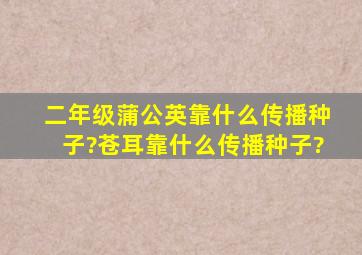 二年级蒲公英靠什么传播种子?苍耳靠什么传播种子?