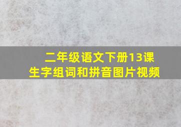 二年级语文下册13课生字组词和拼音图片视频