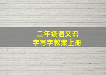 二年级语文识字写字教案上册