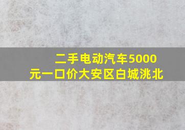 二手电动汽车5000元一口价大安区白城洮北