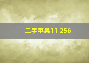 二手苹果11 256