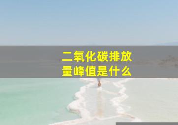 二氧化碳排放量峰值是什么