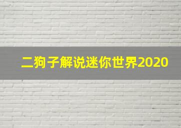 二狗子解说迷你世界2020