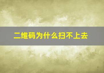 二维码为什么扫不上去