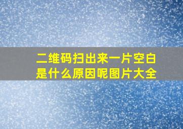 二维码扫出来一片空白是什么原因呢图片大全