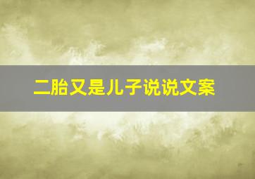 二胎又是儿子说说文案