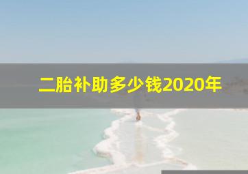 二胎补助多少钱2020年