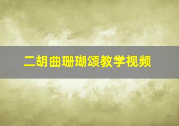 二胡曲珊瑚颂教学视频