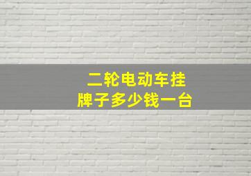 二轮电动车挂牌子多少钱一台