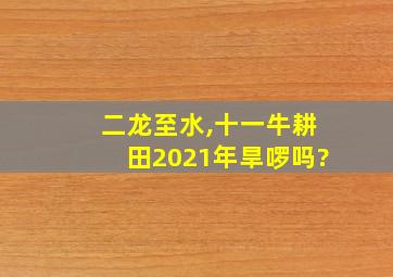 二龙至水,十一牛耕田2021年旱啰吗?