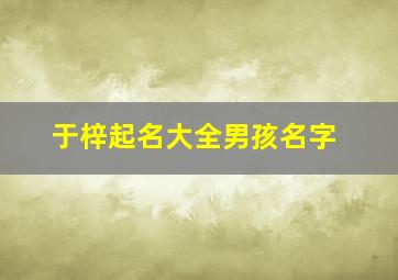 于梓起名大全男孩名字